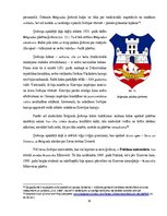 Реферат 'Balkānu heraldika: Bulgārijas un Serbijas piemēri', 16.