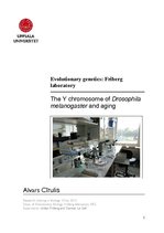 Отчёт по практике 'The Y Chromosome of Drosophila Melanogaster and Aging', 1.