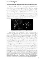 Отчёт по практике 'The Y Chromosome of Drosophila Melanogaster and Aging', 3.
