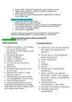 Конспект 'Bērnu uzvedības traucējumi un pozitīvā disciplinēšana', 8.