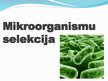 Презентация 'Mikroorganismu selekcija', 1.
