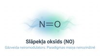 Презентация 'Slāpekļa oksīds', 1.