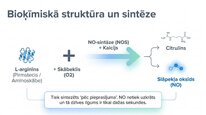 Презентация 'Slāpekļa oksīds', 4.