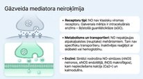 Презентация 'Slāpekļa oksīds', 17.