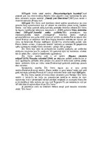 Конспект 'Žils Verns', 4.