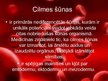 Презентация 'Cilmes šūnas', 3.