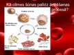 Презентация 'Cilmes šūnas', 6.