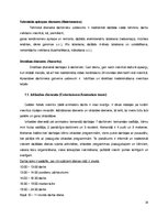Отчёт по практике 'Prakses atskaite viesnīcā "Golden Bahia de Tossa & Spa"', 14.