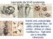 Презентация 'Dižrenesanses mākslinieki Itālijā 15.-16.gadsimtā', 4.