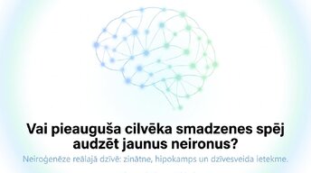 Презентация 'Vai pieauguša cilvēka smadzenes spēj audzēt jaunus neironus?', 1.