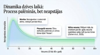 Презентация 'Vai pieauguša cilvēka smadzenes spēj audzēt jaunus neironus?', 6.
