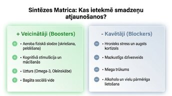 Презентация 'Vai pieauguša cilvēka smadzenes spēj audzēt jaunus neironus?', 8.