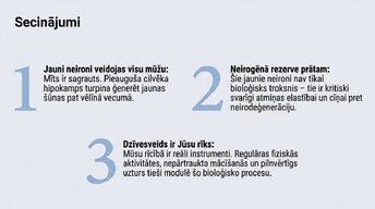 Презентация 'Vai pieauguša cilvēka smadzenes spēj audzēt jaunus neironus?', 13.