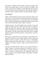 Эссе 'Sociālās un pilsoniskās mācību jomas spēles: izglītības un attīstības nozīme', 5.