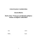 Эссе 'Eseja par jaunākajām pētījuma tēmām stratēģiskā vadībzinībā', 1.