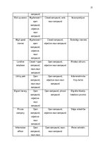 Реферат 'The prevalence of compounding as a term formation pattern in the informative tex', 23.
