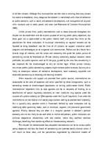 Реферат 'The prevalence of compounding as a term formation pattern in the informative tex', 99.