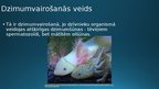 Презентация 'Kā rodas jauns organisms?Aksolotls jeb Meksikas salamandra (Ambystoma mexicanum)', 3.