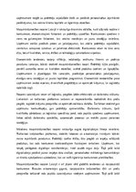 Эссе 'Mazumtirdzniecības nozare: attīstība, izaicinājumi un nākotnes perspektīvas Latv', 2.