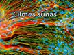 Презентация 'Cilmes šūnas', 1.