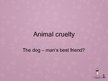 Презентация 'Cruelty to Animals', 1.
