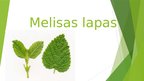 Презентация 'Melisas lapas', 1.