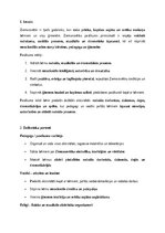 Эссе 'Ziemassvētku pasākums pirmsskolā: radošuma, sociālo un emocionālo prasmju veicin', 1.