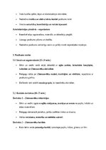 Эссе 'Ziemassvētku pasākums pirmsskolā: radošuma, sociālo un emocionālo prasmju veicin', 2.