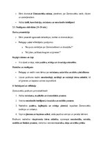 Эссе 'Ziemassvētku pasākums pirmsskolā: radošuma, sociālo un emocionālo prasmju veicin', 4.