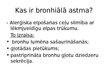 Презентация 'Bronhiālās astmas ārstēšana un rehabilitācija', 3.
