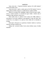 Реферат 'Sabiedriskās ēdināšanas uzņēmuma SIA „KRO kebabnīca” saimnieciskās darbības anal', 3.