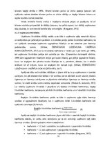 Реферат 'Sabiedriskās ēdināšanas uzņēmuma SIA „KRO kebabnīca” saimnieciskās darbības anal', 16.