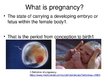 Презентация 'Foetal Development', 2.