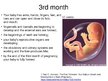 Презентация 'Foetal Development', 10.