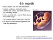 Презентация 'Foetal Development', 12.