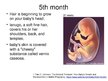 Презентация 'Foetal Development', 14.