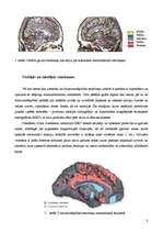 Реферат 'Emociju regulācijas attīstība un galvas smadzeņu struktūru loma emociju attīstīb', 8.