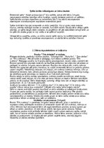 Отчёт по практике 'Pirmskolas izglītība', 6.