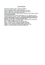 Отчёт по практике 'Pirmskolas izglītība', 8.