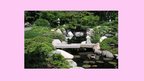 Презентация 'Senās Japānas dārzi un parki', 3.