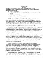 Эссе 'Tekstu analīze par grāmatu "Jātnieks un lodes"', 1.