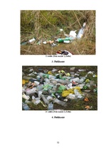 Реферат 'Sadzīves atkritumu radītais kaitējums', 32.