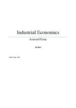 Эссе 'Industrial Economics: Mergers', 1.