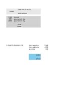 Образец документа 'Uzņēmuma budžeta sagatavošana', 10.