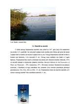 Реферат 'Liepājas ezera ekoloģiskā stāvokļa novērtējums pēc fitoplanktona', 11.