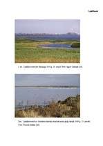 Реферат 'Liepājas ezera ekoloģiskā stāvokļa novērtējums pēc fitoplanktona', 25.