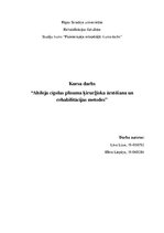 Реферат 'Ahileja cīpslas plīsuma ārstēšana', 1.