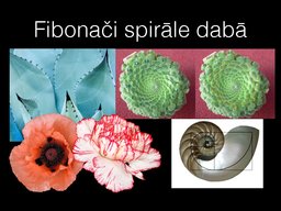 Презентация 'Fibonači skaitļi', 4.