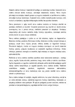 Эссе 'Nervu sistēmas anatomija un fizioloģija: informācijas apmaiņas un organisma funk', 3.