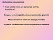 Презентация 'Klindamicīns un hlorheksidīns', 18.